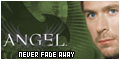 Never Fade Away